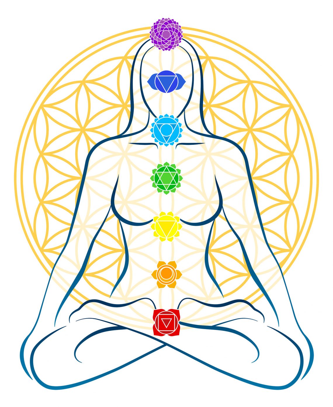 Chakras Para Iniciantes Eu Sem Fronteiras