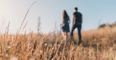 Casal andando de mãos dadas em uma plantação de trigo