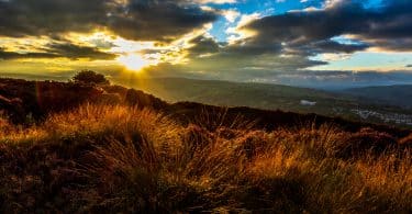 Campo nórdico iluminado pelo sol.