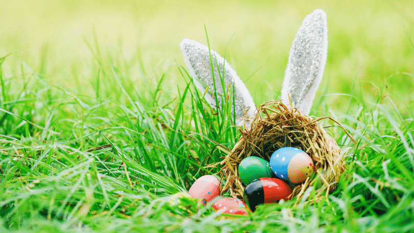 Ovos de páscoa coloridos na grama com um coelho escondido atrás deles