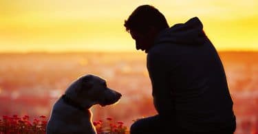 Silhueta de um homem com um cachorro ao lado, no terraço de um prédio, ao pôr do sol.