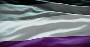 Imagem da bandeira que representa a asexualidade