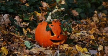 Imagem de uma cabeça de abóbora decorada em e disposta sobre um gramado com folhas de outono. Ela está decorando o jardim para celebrar o dia de Halloween.