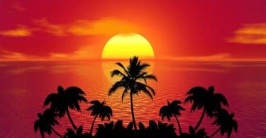 Imagem avermelhada e bem tropical de um lindo por do sol. À frente dele, vários coqueiros complementam a imagem que represanta o solstício de verão.