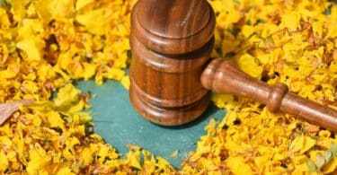 Imagem de uma mesa coberta com folhagens amarelas, em destaque a imagem de um martelo de julgamento.