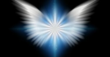 Imagem de fundo preto e em destaque as asas de um anjo em efeito 3D