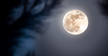 Lua cheia em céu azul escuro.