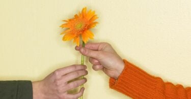 Imagem de fundo amarelo claro e em destaque a mão de uma pessoa entregando uma flor na mão de outra pessoa, demonstrando o conceito de aceitação.