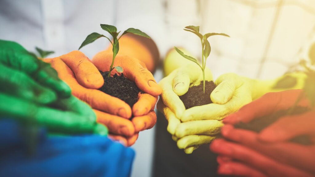 Imagem de várias mãos coloridas nos tons verde, laranja, amarelo e vermelho, segurando uma muda de flor em uma terra, representando o conceito de todos somos um.