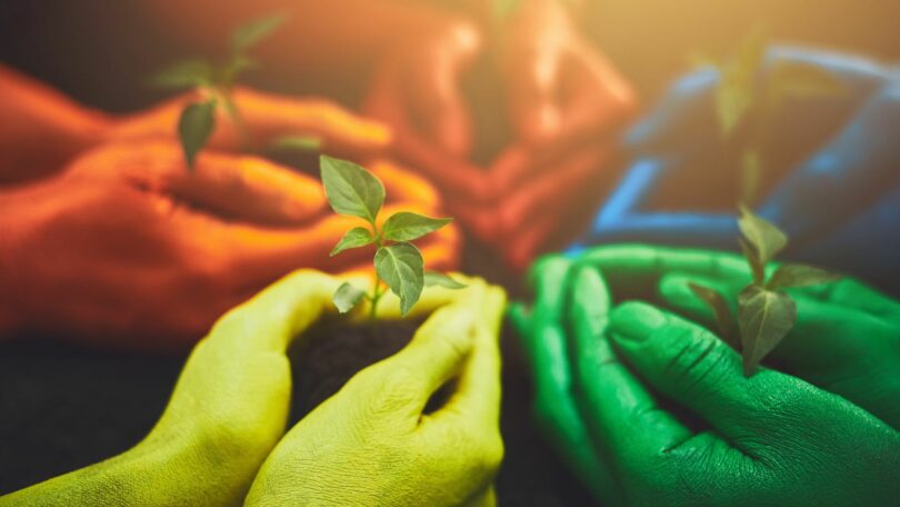 Imagem de várias mãos coloridas nos tons verde, laranja, amarelo e vermelho, segurando uma muda de flor em uma terra, representando o conceito de todos somos um.