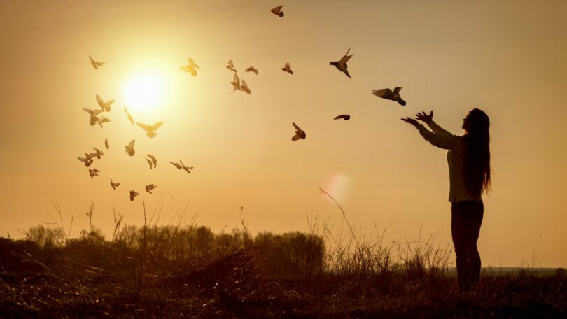 Imagem de um lindo pôr do sol e em destaque, uma mulher rodeada de pássaros, transmitindo o conceito de vida e esperança.