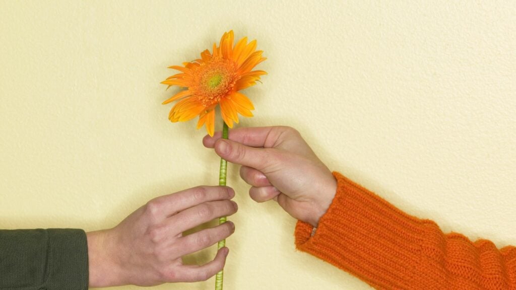 Fundo amarelo claro e em destaque a mão de uma pessoa entregando uma flor na mão de outra pessoa, demonstrando o conceito de gentileza.