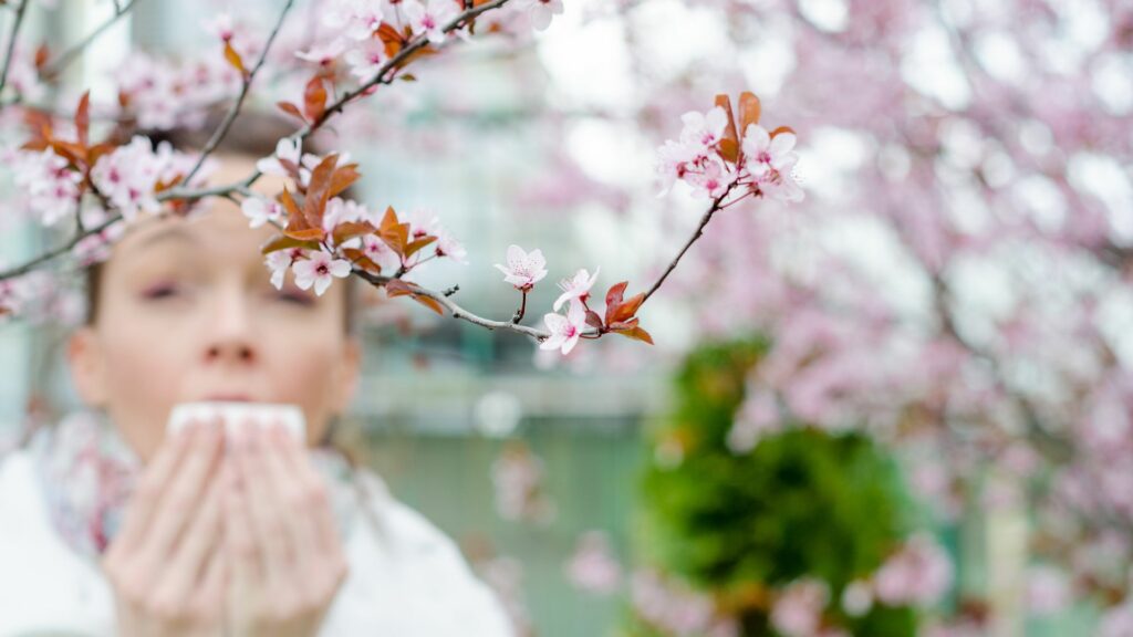 Imagem de uma mulher espirrando, ao lado de uma flor de cerejeira, representando o conceito de alergia da flor.
