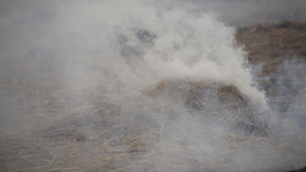 Incêndio florestal. 