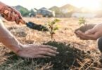 A imagem mostra os braços e mãos de dois homens plantando mudas. O homem que está posicionado na direita está com a sua mão direita suja de terra e segura uma pá. Ele apoia a sua mão esquerda na muda que está no centro da imagem. O homem que está posicionado na esquerda da foto segura uma muda com as duas mãos. No fundo, há montanhas, o céu, a luz do sol e carros estacionados desfocados.