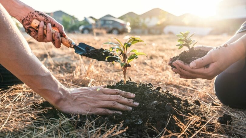 A imagem mostra os braços e mãos de dois homens plantando mudas. O homem que está posicionado na direita está com a sua mão direita suja de terra e segura uma pá. Ele apoia a sua mão esquerda na muda que está no centro da imagem. O homem que está posicionado na esquerda da foto segura uma muda com as duas mãos. No fundo, há montanhas, o céu, a luz do sol e carros estacionados desfocados.