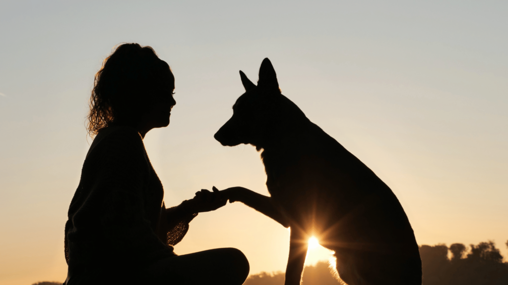 Silhueta de uma mulher sorrindo e segurando a pata de um cachorro, o qual está de frente para ela. Por trás, há um pôr do sol e árvores.