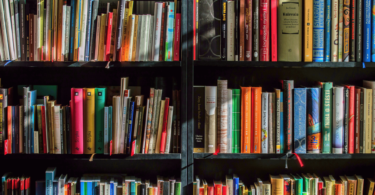 Livros com capas de diversas cores estão organizados em uma estante preta. A luz do sol reflete nos livros.