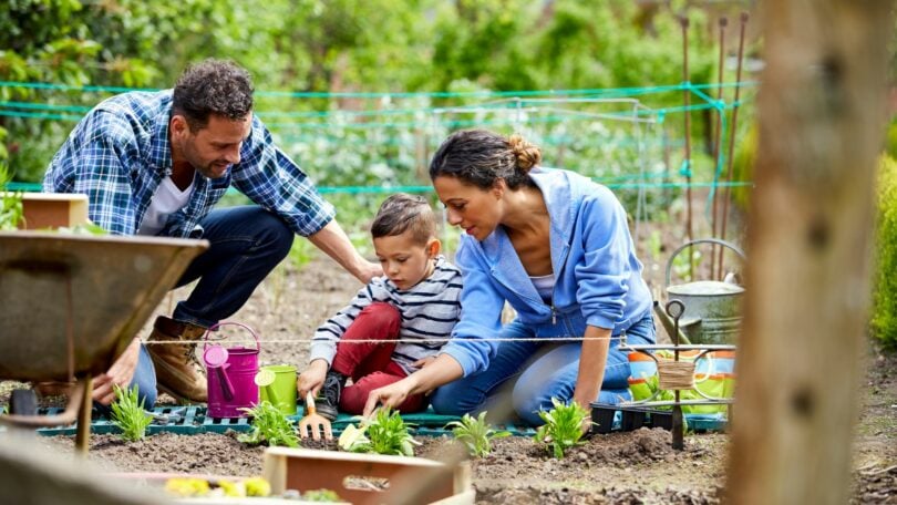 Imagem de uma família composta pelos pais e o filho menor. Eeles estão cuidando do jardim, platando e replatando mudas.