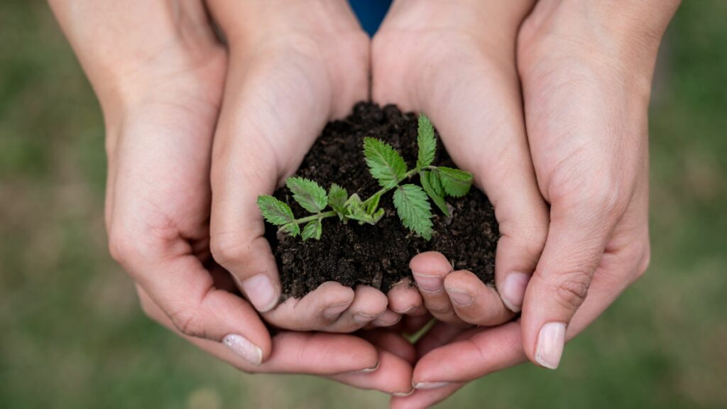 Imagem das mãos da mãe e da sua filha segurando um punhado de terra, trazendo o conceito de cuidado com o planeta.
