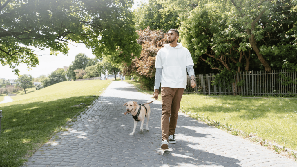 Um homem caminha com um cachorro em um parque. O dia está ensolarado e o parque é arborizado.