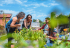 Um grupo de pessoas cultiva e cuida de um jardim. Eles estão em um ambiente urbano e o dia está ensolarado.