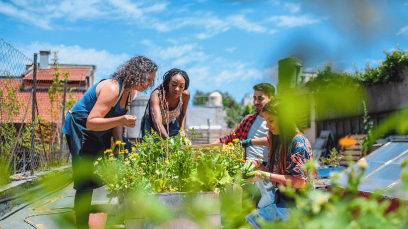 Um grupo de pessoas cultiva e cuida de um jardim. Eles estão em um ambiente urbano e o dia está ensolarado.