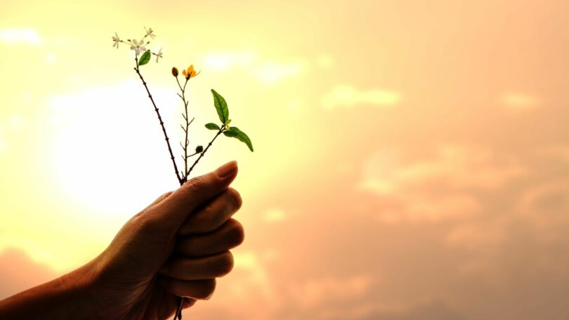 Imagem de um lindo céu alaranjado e em destaque uma mão segurando um ramo de flores amarelo e branca, trazendo o conceito de dando amor por tudo, de abençoar e ser abençoado.