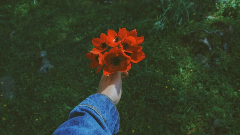 Imagem do braço de uma pessoa usando uma jaqueta jeans. Ela segura com uma das mãos, um ramalhete de flores vermelhas, trazendo o conceito de renovação e renascimento pessoal.