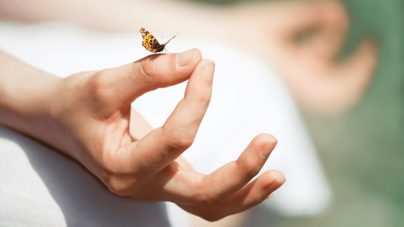 A imagem destaca as mãos de uma pessoa que está meditando. A mão direita está focada na imagem e sobre ela pousa uma borboleta amarela e pequena. A mão esquerda está desfocada.