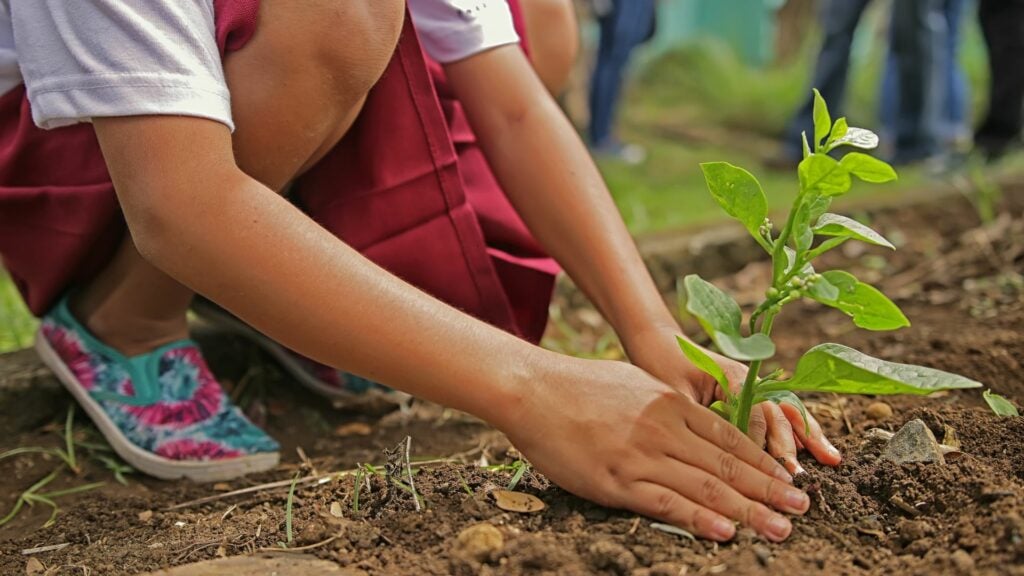 Imagem de uma pessoa plantando uma árvore, se conectando com a natureza.
